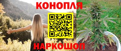 прущая мука Лесосибирск