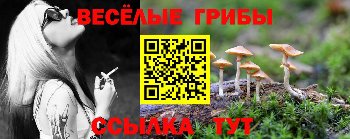 Галлюциногенные грибы Psilocybe  Вход с VPN  Глазов  Псилоцибиновые грибы GOLDEN TEACHER 